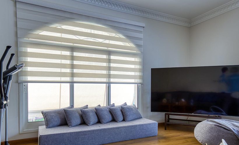 zebra-blinds